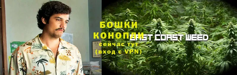 Шишки марихуана White Widow  где купить   Кировград 